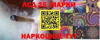 гашик Тара