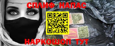 гашик Тара