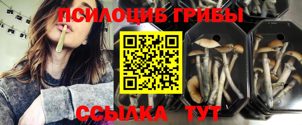 Псилоцибиновые грибы ЛСД Учалы