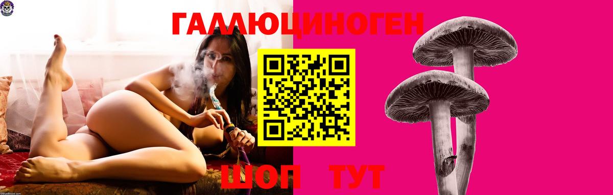 Учалы  Псилоцибиновые грибы GOLDEN TEACHER  Вход с VPN 